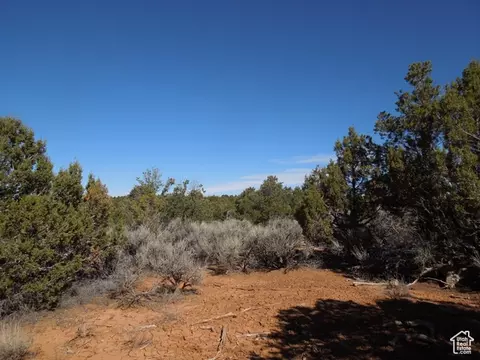 17 W Sun Rise Country Rd #17, Monticello, UT 84535