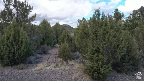 177 E Forest Dr, Central, UT 84722 photo 14