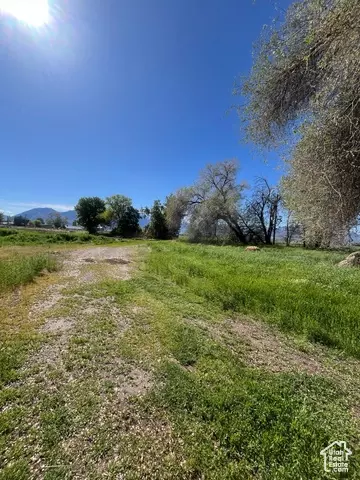 2968 W 7300 S, Benjamin, UT 84660 photo 19