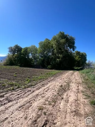 2968 W 7300 S, Benjamin, UT 84660 photo 18