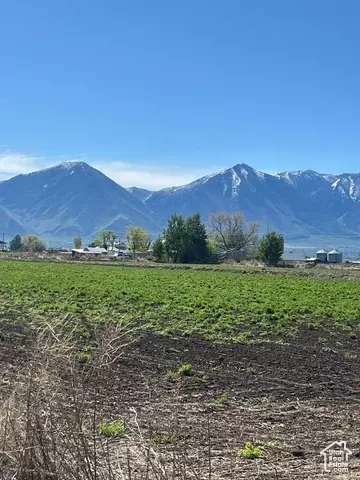 2968 W 7300 S, Benjamin, UT 84660 photo 11