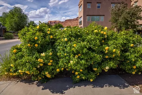 1261 N Main Rubicon Trl UNIT M18, Moab, UT 84532 photo 11