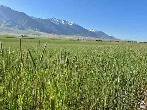 Undisclosed, Mona, UT 84645