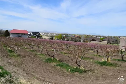Other - 1670 S Hwy 89, Perry, UT 84302 photo 23 of 27