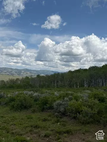 e alta dr, Spanish Fork, UT 84660 photo 8