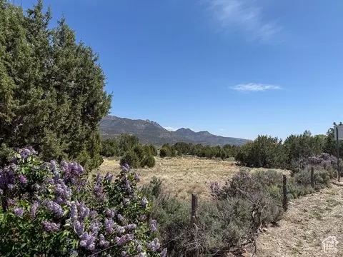 425 E Mule Deer Rd, Central, UT 84722 photo 54