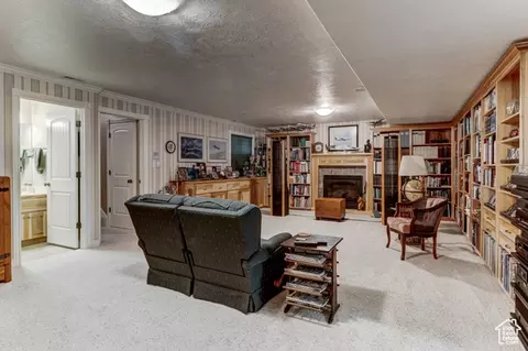 Other - 30455 N 11000 E, Fairview, UT 84629 photo 12 of 31