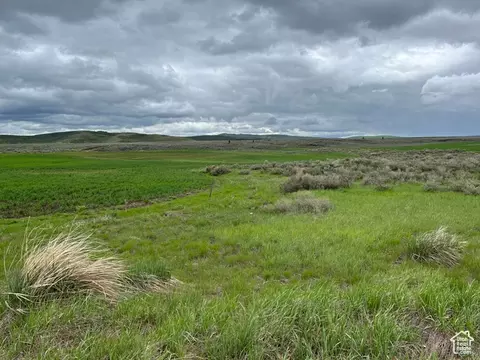 Undisclosed, Bancroft, ID 83217 photo 34