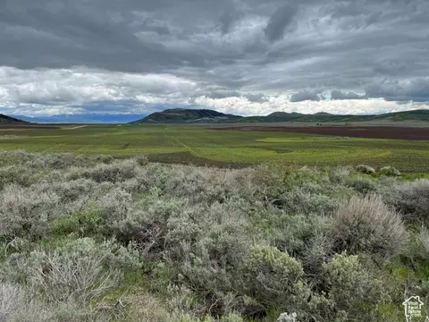 Undisclosed, Bancroft, ID 83217 photo 46
