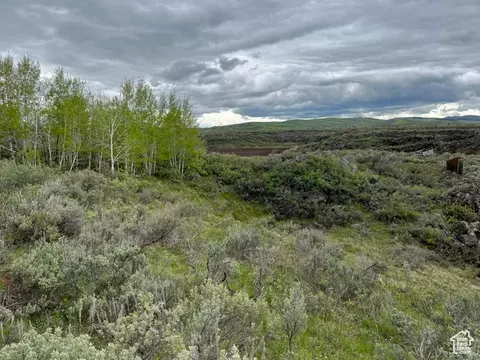 Undisclosed, Bancroft, ID 83217 photo 53