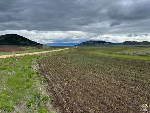 Undisclosed, Bancroft, ID 83217 photo 39