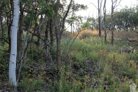 1747 S Beaver Bench E #1421, Heber City, UT 84032