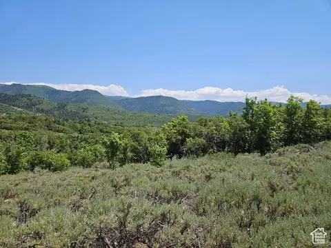 155 E Wolf Hollow Rd S #155, Fairview, UT 84629