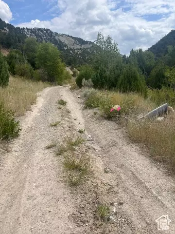 Undisclosed, Ephraim, UT 84627 photo 11