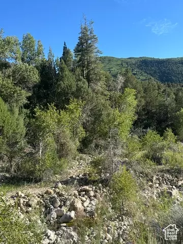 Undisclosed, Ephraim, UT 84627 photo 2