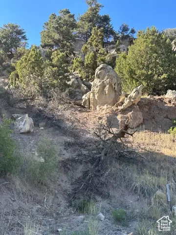 Undisclosed, Ephraim, UT 84627 photo 7