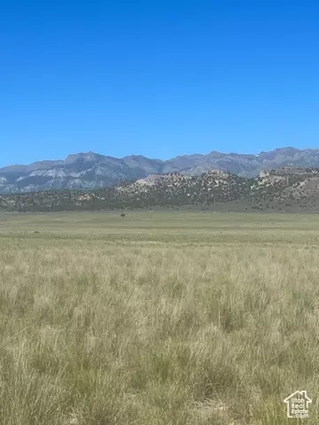 Undisclosed, Levan, UT 84639