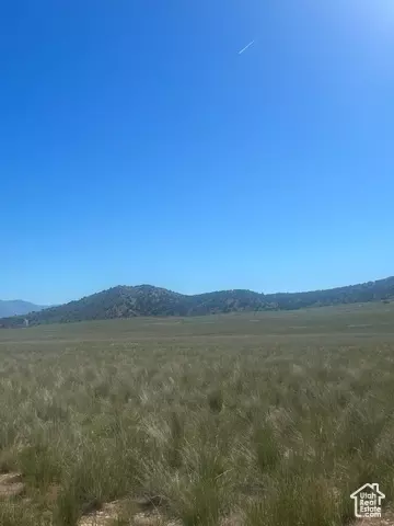 Undisclosed, Levan, UT 84639