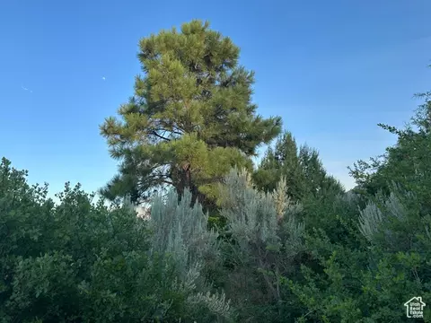 9 Chamisa Ln, Castle Valley, UT 84532 photo 31