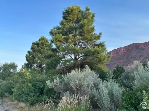 9 Chamisa Ln, Castle Valley, UT 84532 photo 30