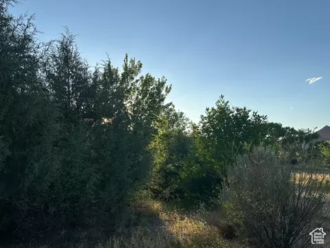 9 Chamisa Ln, Castle Valley, UT 84532 photo 35