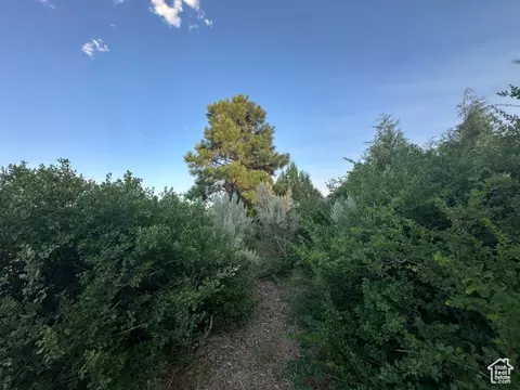 9 Chamisa Ln, Castle Valley, UT 84532 photo 32