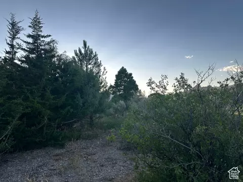9 Chamisa Ln, Castle Valley, UT 84532 photo 36