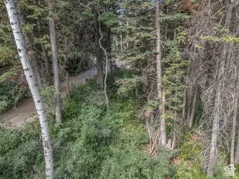 9281 E Fox Haven Ln, Brighton, UT 84121 photo 16