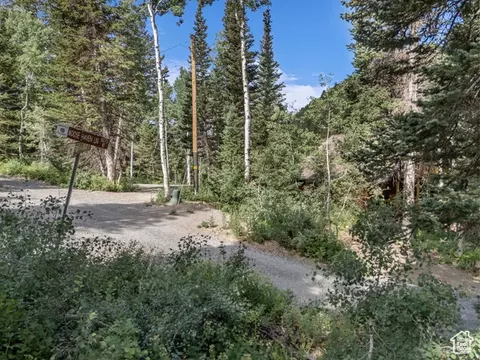 9281 E Fox Haven Ln, Brighton, UT 84121 photo 18