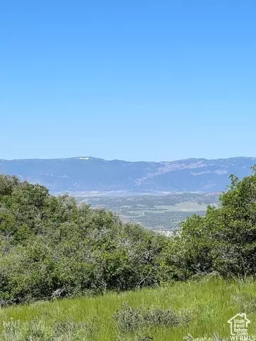 13606 E 22460 N, Fairview, UT 84629 photo 10