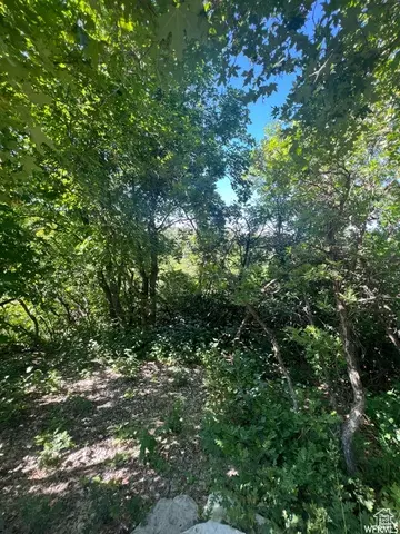 13606 E 22460 N, Fairview, UT 84629 photo 11
