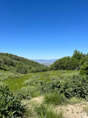 13606 E 22460 N, Fairview, UT 84629 photo 12