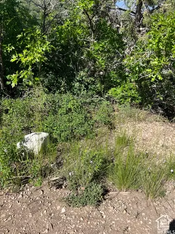 13606 E 22460 N, Fairview, UT 84629 photo 7