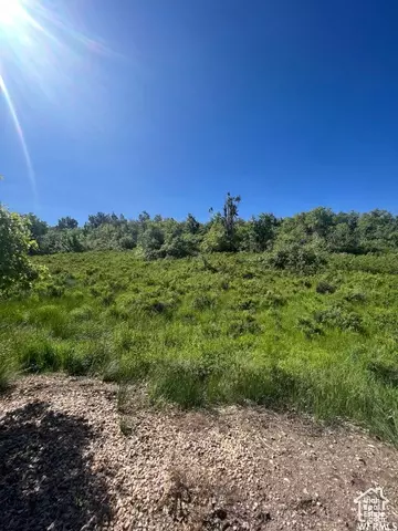 13606 E 22460 N, Fairview, UT 84629 photo 17