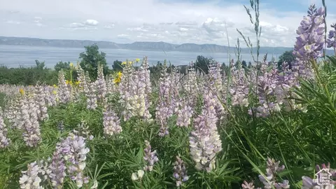 Undisclosed, Fish Haven, ID 83287 photo 3