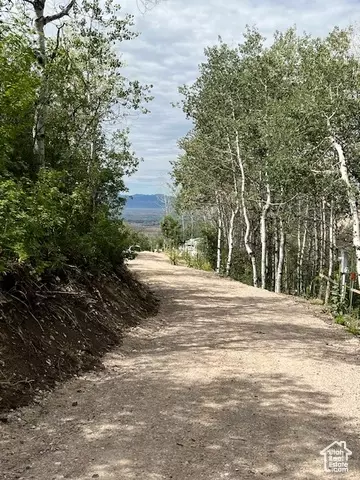 1 Archies Hideaway #1, Fairview, UT 84629 photo 3