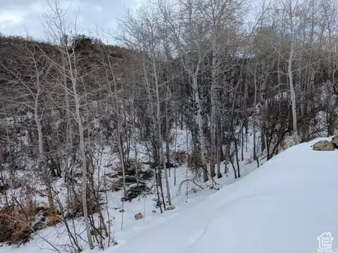 1 Archies Hideaway #1, Fairview, UT 84629 photo 12