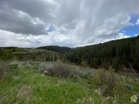 41 Grouse Loop Rd #41, Freedom, WY 83120