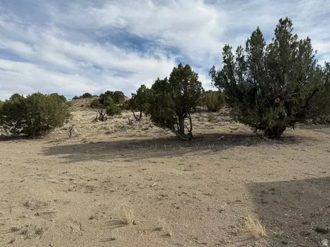 Exterior - 14183 S High Mesa Loop, Duchesne, UT 84021 photo 5 of 11