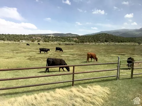 713 W Eagle, Grover, UT 84773 photo 10