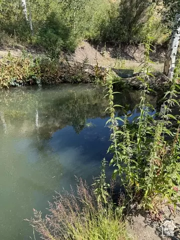 Undisclosed, Vernon, UT 84080 photo 9