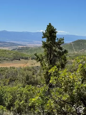 46 7 #467, Fairview, UT 84629 photo 8