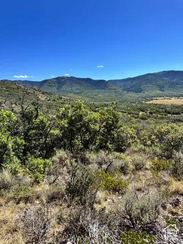 46 7 #467, Fairview, UT 84629 photo 6