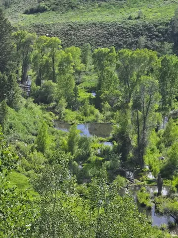 6621 N Middle Fork Dr #89, Huntsville, UT 84317