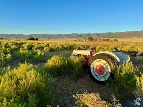 Undisclosed, Mount Pleasant, UT 84647