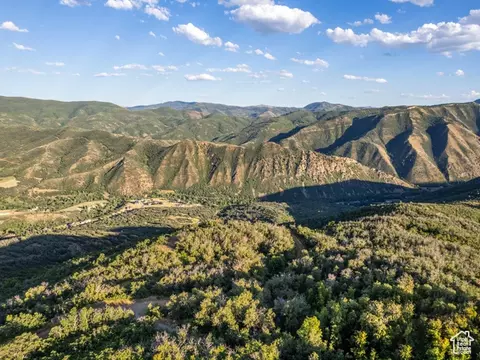 2000 Oak Wood Dr #1, Springville, UT 84663
