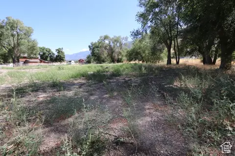 1314 E Victor Ln, Draper, UT 84020 photo 4