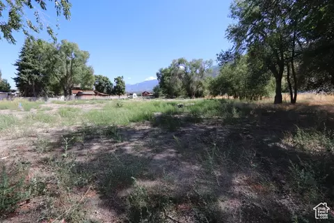 1314 E Victor Ln, Draper, UT 84020 photo 3