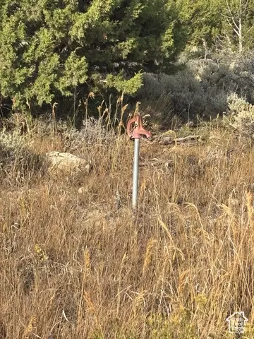 Undisclosed, Mount Pleasant, UT 84647 photo 8