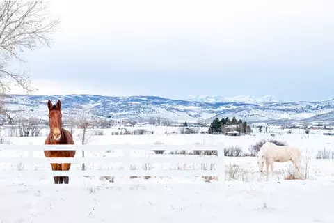 1538 Stewart Ln #3, Kamas, UT 84036